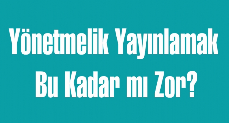 Türk Sağlık Sen Tokat Şube Başkanı Erdoğan Dal, sağlık çalışanları için ek ödeme yönetmeliği yayınlamasını istedi. 