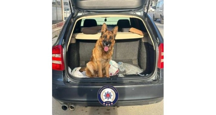 Çorum’da köpek çalan 2 kişi tutuklandı