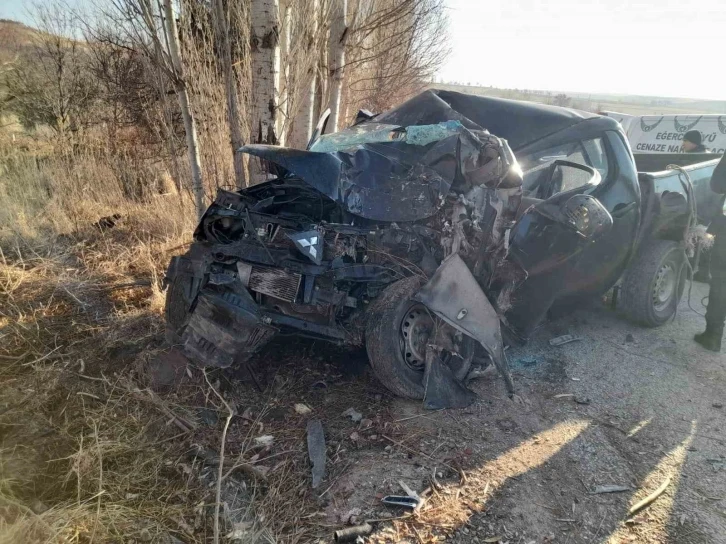 Kamyonet ağaca çarptı, sürücü hayatını kaybetti
