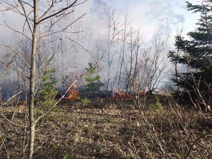 Ormanlık alanda çıkan yangın söndürüldü

