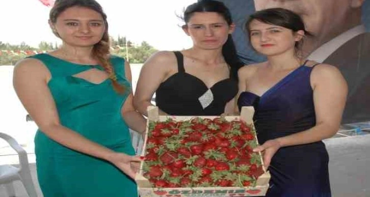 Sivaslı’da 35. Çilek ve Kültür Festivali için geri sayım başladı