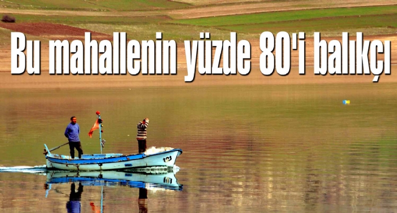 Almus Baraj Gölü kıyısında bulunan Yuvaköy`de yaşayan ailelerin yüzde 80`i geçimini balıkçılıkla sağlıyor. 