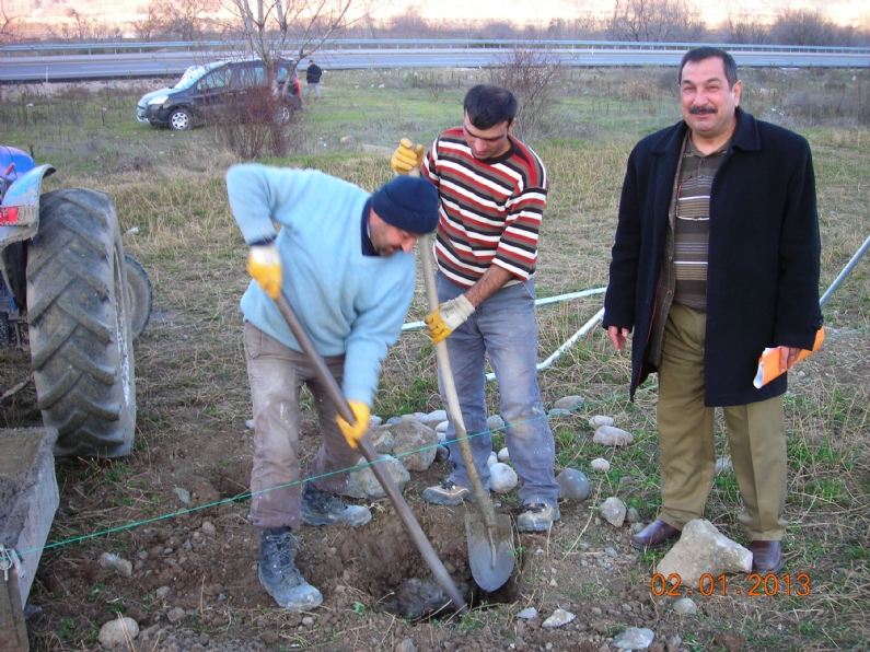 Niksar Camidere Köyünde Alaattin Ünal`a ait 4200 m2 alanda Tam Bodur Elma Bahçesi kurulum çalışmaları devam ediyor.