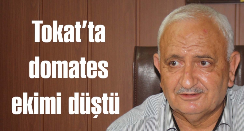 Tokat Ziraat Odası Başkanı Ahmet Dökülen, Tokatta domates ekiminin düştüğünü söyledi. 