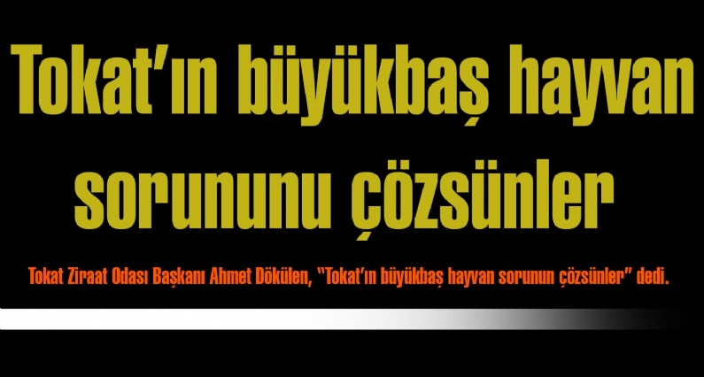 Tokat Ziraat Odası Başkanı Ahmet Dökülen, Tokatın büyükbaş hayvan sorunun çözsünler dedi. 