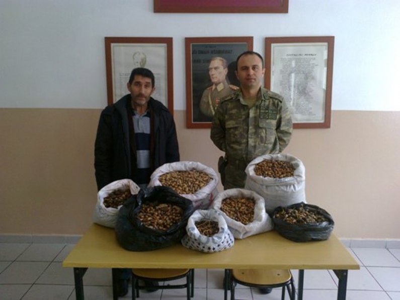 Artova İlçe Jandarma Komutanlığı tarafından sorumluluk sahasında bulunan köylerden toplatılan 11.000 (onbir bin) adet civarındaki meşe palamudu TEMA Vakfı Artova temsilcisi Abuzer Balcı ya teslim edildi.