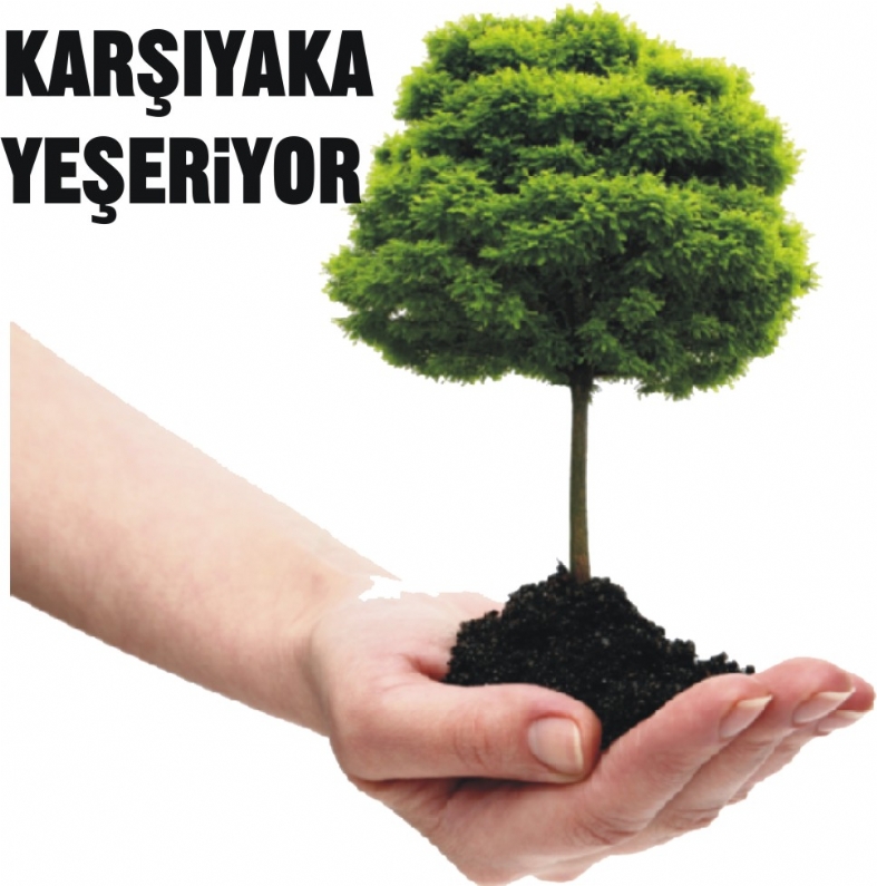 Karşıyaka Mahallesi muhtarı Emin Aydın, sürekli inşaat yapılan mahallesini yeşillendirmek için Orman Bakanlığı`ndan 250 adet fidan getirtti. 