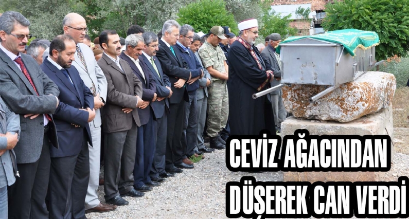 Zilede ceviz toplamak için çıktığı ağaçtan düşen kişi hayatını kaybetti.