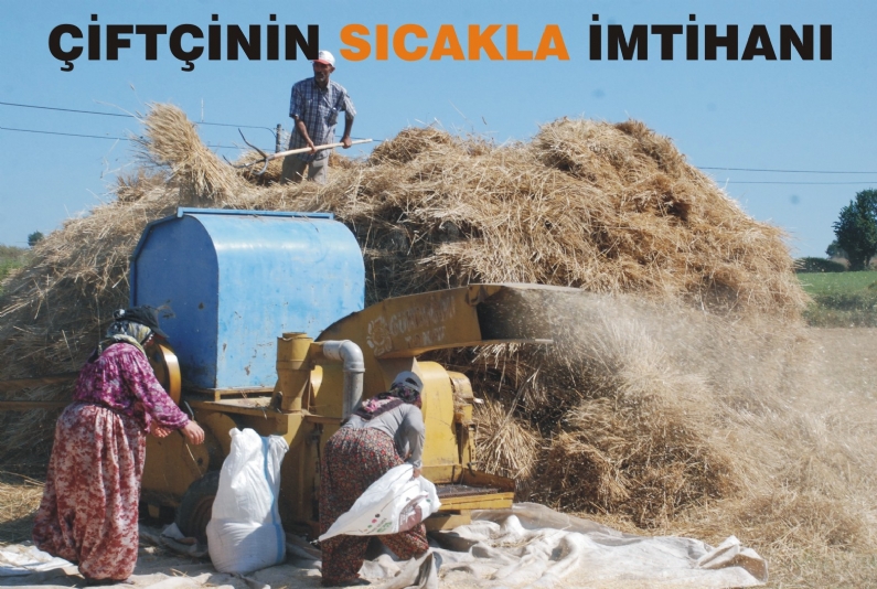 Tokat`ta 35 derece sıcakta patoz yapan çiftçiler kışlık yem ve buğday ihtiyaçlarını karşılıyor. 
