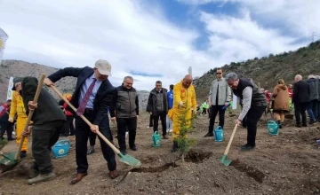Amasya Orman Bölge Müdürü Özer: “Türkiye en çok ağaçlandırmada Avrupa’da 1. sırada”
