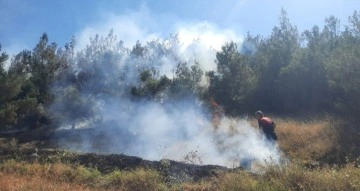 Amasya’da çıkan yangın ormanlık alana sıçradı