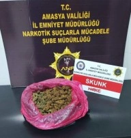 Amasya’da polisten uyuşturucu operasyonları: 9 gözaltı