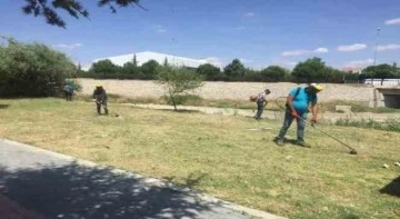 Belediye ekipleri ilçedeki yabani otları temizliyor