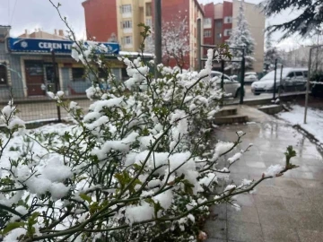Eskişehir kent merkezinde kar yağışı etkili oldu
