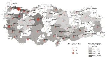 İstanbul’dan Sinop’a tersine göç
