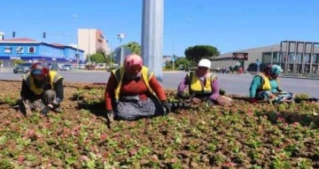 Kadınların yakıcı güneş altında ekmek mücadelesi: Şehri onlar süslüyor