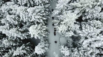 Kar altında büyüleyici güzellik: Gümüşhane-Şiran sınırındaki Tersun Dağı’nda doğa yürüyüşü
