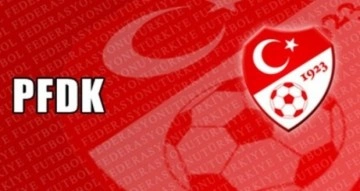 PFDK'dan Beşiktaş'a 381 bin TL para cezası
