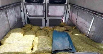 Samsun’da deniz polisi 80 çuval kaçak midye ele geçirdi