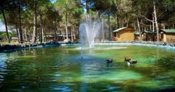 Samsun’un yeni turizm merkezi: Çarşamba Orman Park
