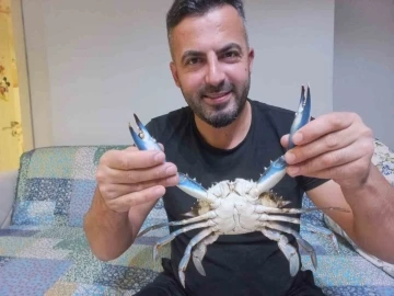 Sinop’ta amatör balıkçının ağına nadir görülen mavi yengeç takıldı
