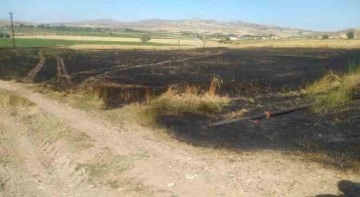 Sivas’ta tarla yangınında 50 dönüm ekili alan kül oldu