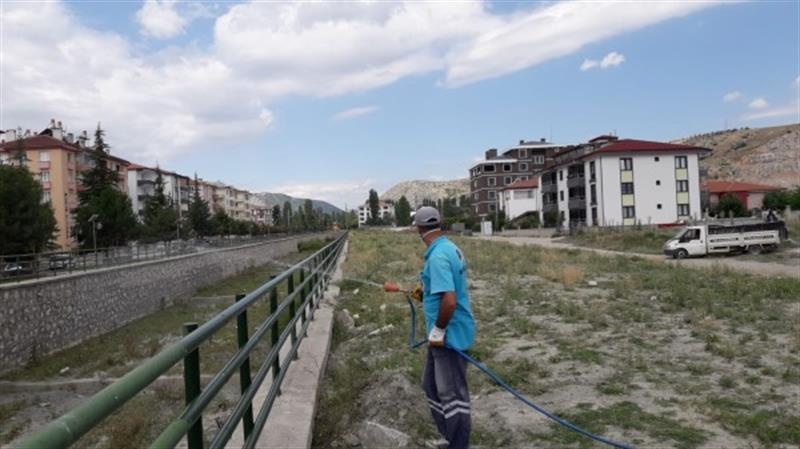 Turhal Belediyesi, ilaçlama çalışmalarına devam ediyor