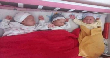 Üçüz bebeklere başkan Şahiner sahip çıktı