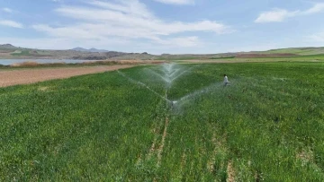 Yağışlar azaldı, kuraklık riski arttı: Çiftçiler modern sistemlerle sulama yapıyor
