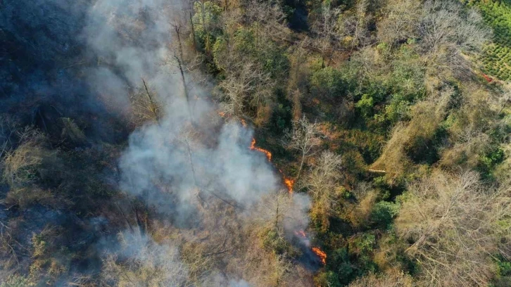 Artvin'in arhavi ilçesinde çıkan orman yangını kontrol altına alındı. Yangınla