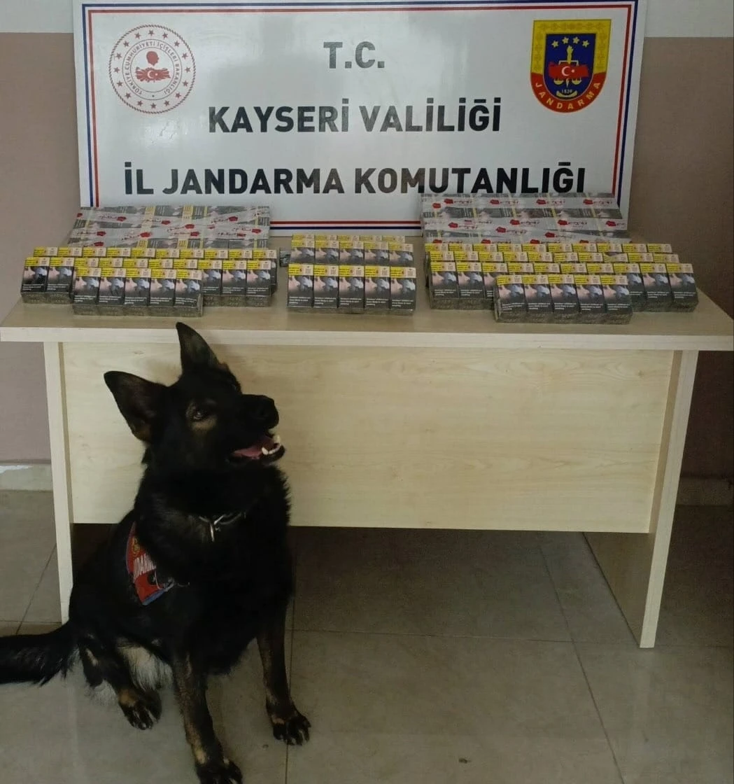 Kayseri’de jandarma ekipleri tarafından yapılan yol kontrolünde durdurulan bir kamyonda