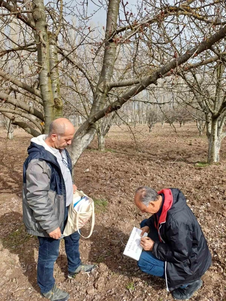 Eskişehir il tarım ve orman müdürlüğü tarafından mihalıççık ilçesinde kiraz