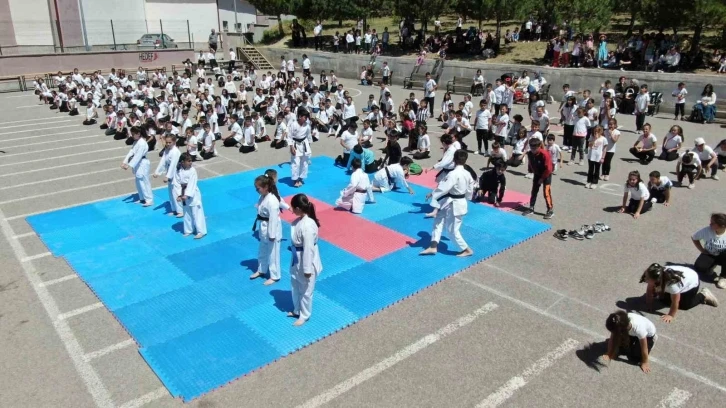 Sivas’ta yaklaşık 450 karate sporcusu yılsonu etkinliğinde aynı anda gösteri