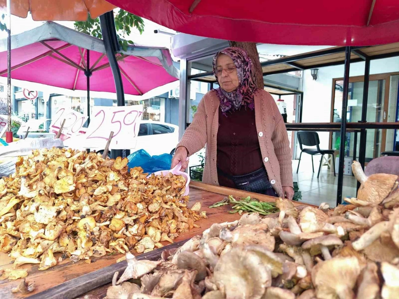 Altınordu ilçesinde satışı yapan kadınlar, yüksek kesimlerde zor şartlar altında