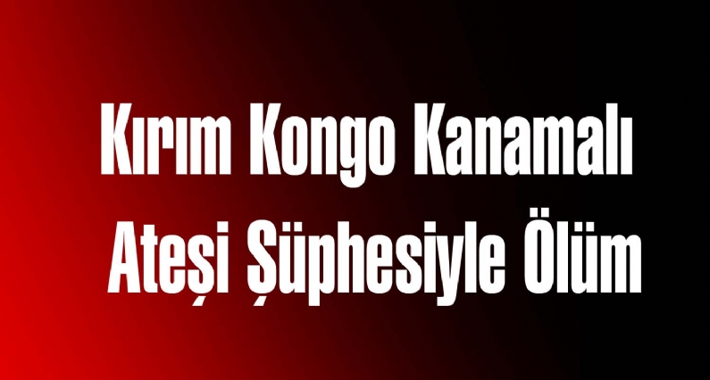 Tokat`ta Kırım Kongo kanamalı ateşi (KKKA) hastalığı şüphesiyle tedavi gören