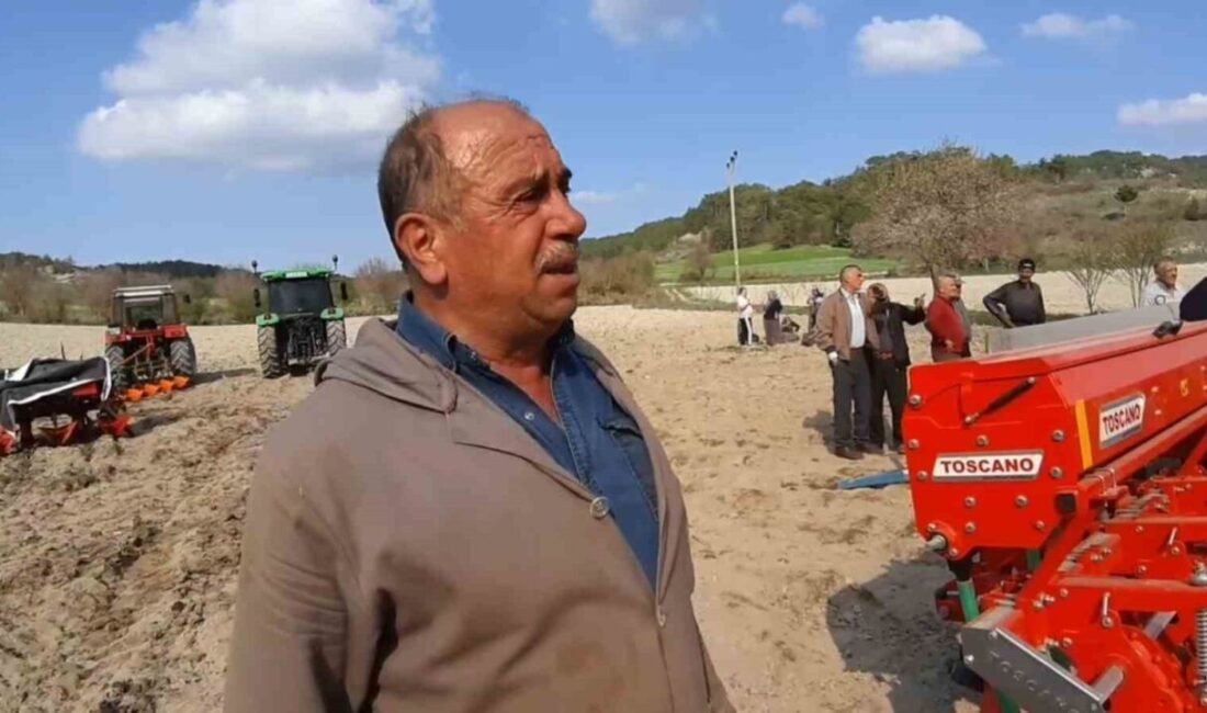 Bolu’da depo ve samanlıkta çıkan yangında bin adet saman balyası,