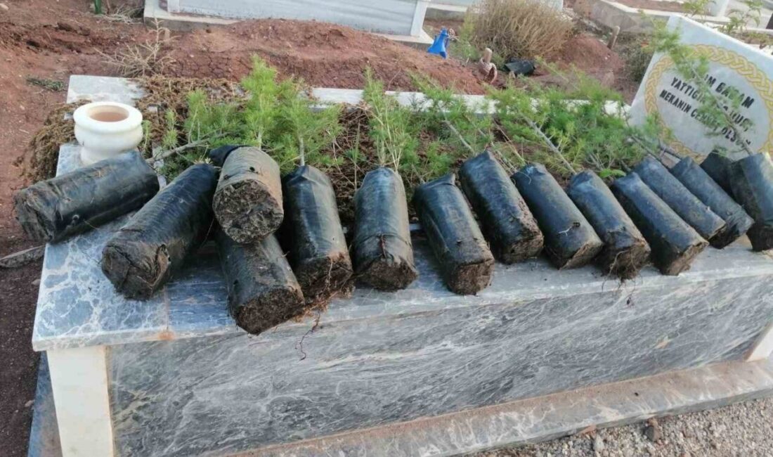 Eskişehir’de hayırseverler, Anneler Günü’nde mezarlıklara fidan dikti. İlmek İlmek Bin