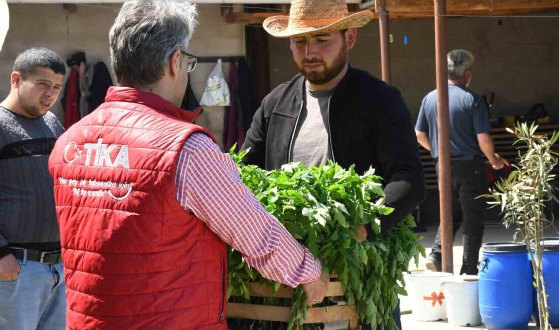 Türk İşbirliği ve Koordinasyon Ajansı Başkanlığı (TİKA) Azerbaycan’ın Haçmaz bölgesinde