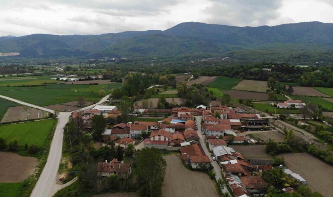 Bolu merkeze bağlı 4 köyde, içme suyu hattında yaşanan sorun