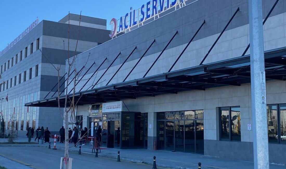 Havyan otlatma kavgası kanlı bitti: 1 yaralı Konya’nın Kulu ilçesinde ekili alanda hayvan otlatma sebebiyle çıkan kavgada