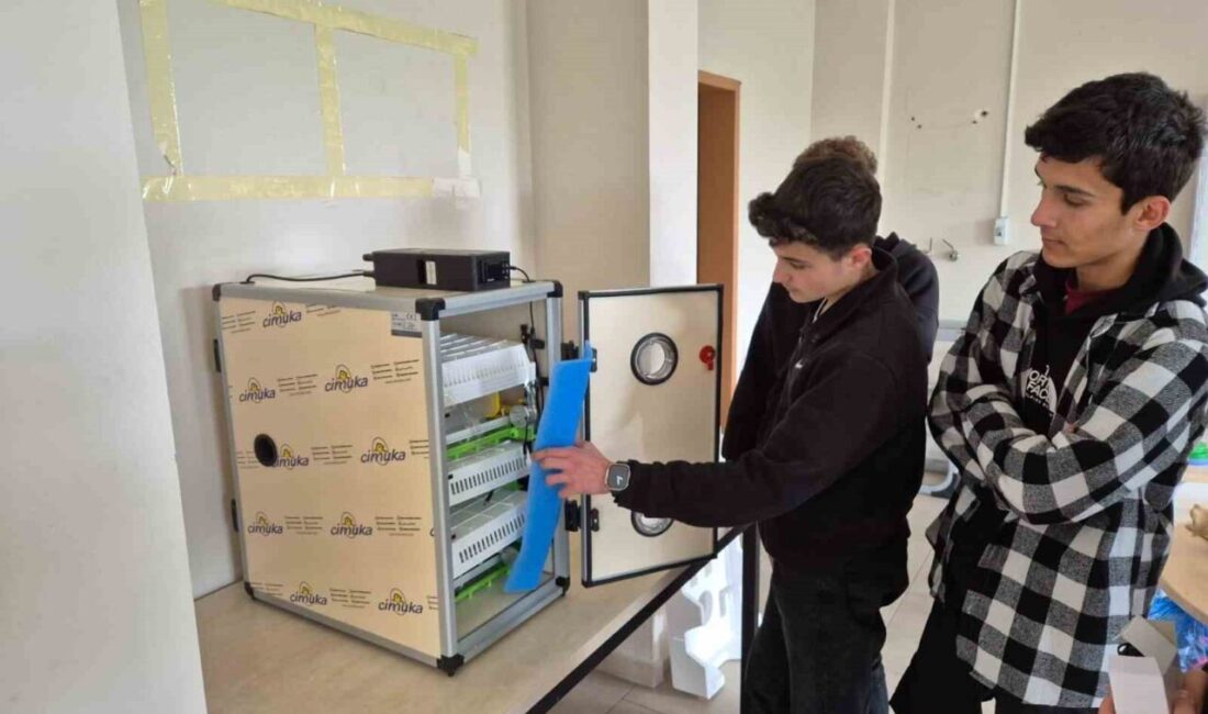 Zonguldak’ın Çaycuma ilçesine bağlı Nebioğlu beldesinde bulunan Şehit Sacit Olcay