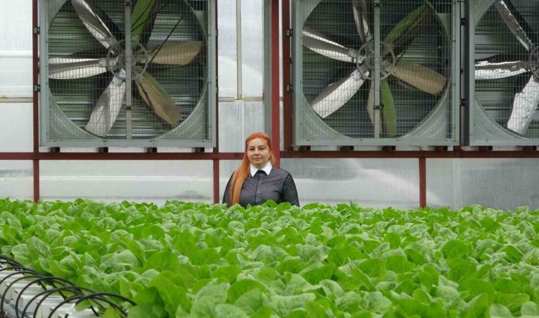 Trabzon’un Yomra ilçesinde yatırımcı Elif Çakıroğlu’nun 6 yıl önce Amerika’ya