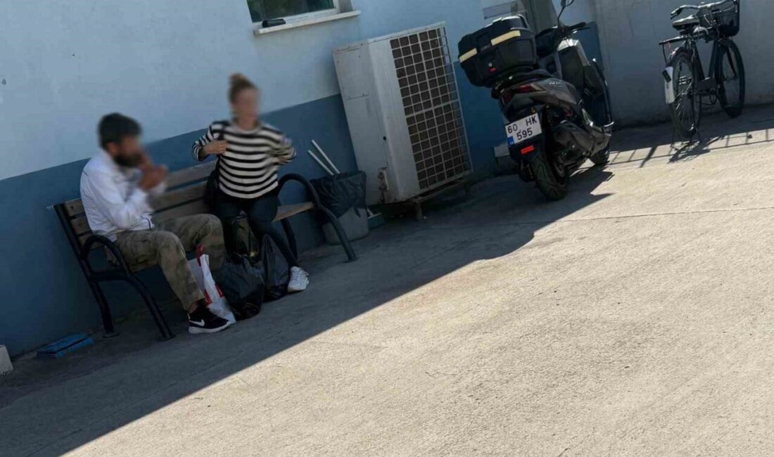 Kaçak göçmenler yol uygulamasında yakalandı Tokat’ın Erbaa ilçesinde durdurulan tırın dorsesinde 2 kaçak göçmen yakalanırken,