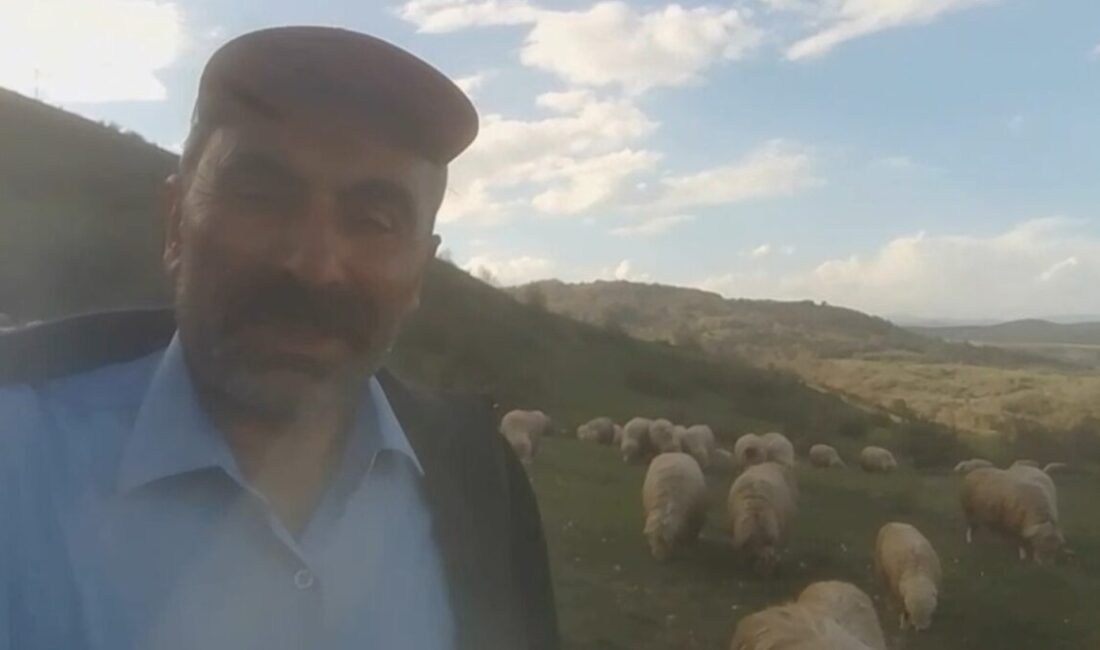 Tokat’ın Başçiftlik ilçesinde koyun otlatan çoban, köpeklerinin havlamasıyla gittiği ormanda