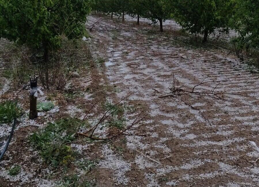 Konya’nın Karapınar ilçesinde dün akşam saatlerinde başlayan yağmur yağışının ardından