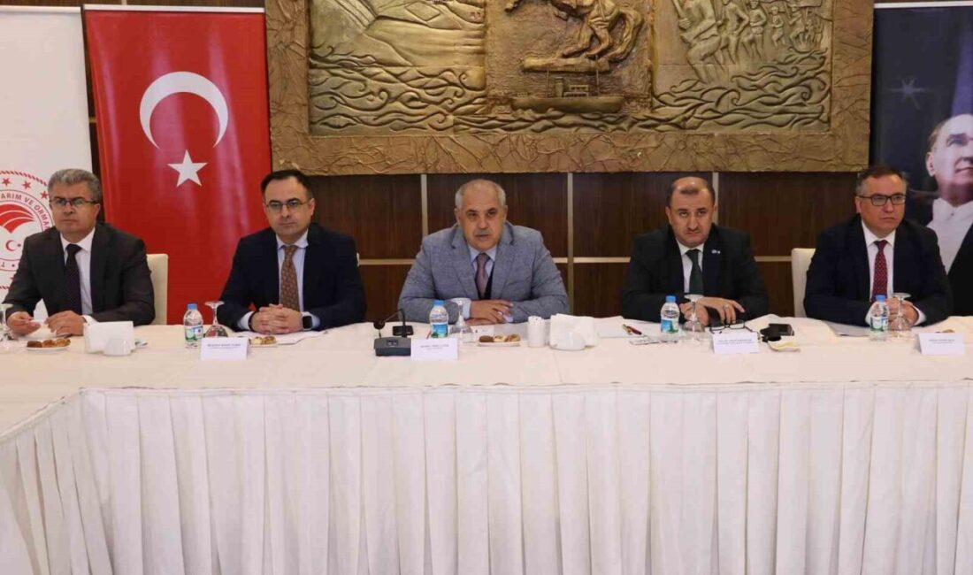 Samsun İl Su Kurulu 2025 Yılı Toplantısı, Samsun Valiliği ev