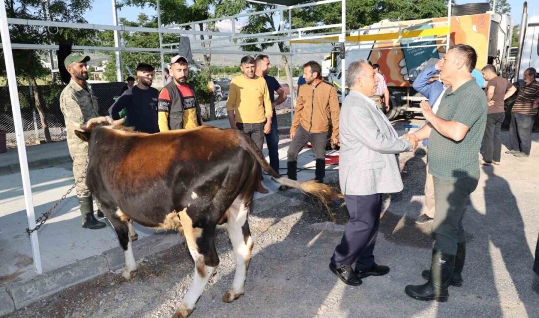Yaklaşan Kurban Bayramı öncesi çalışmalarını yoğunlaştıran Talas Belediyesi, kurban satış