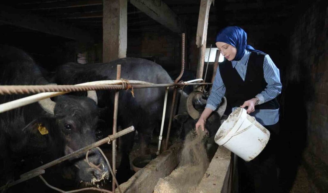 Ticari süt işletmelerince 1 milyon 15 bin 647 ton inek sütü toplandı Ticari süt işletmelerince toplanan inek sütü miktarı Mart ayında yüzde